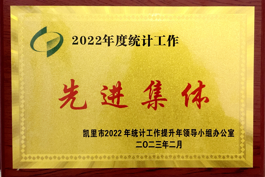 凱里市2022年度統(tǒng)計工作“先進(jìn)集體”榮譽(yù)稱號-貴州生物制藥