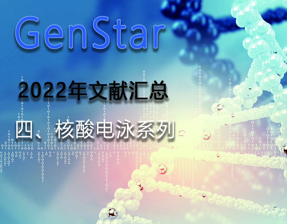GenStar 2022年文獻(xiàn)匯總（四、核酸電泳系列）